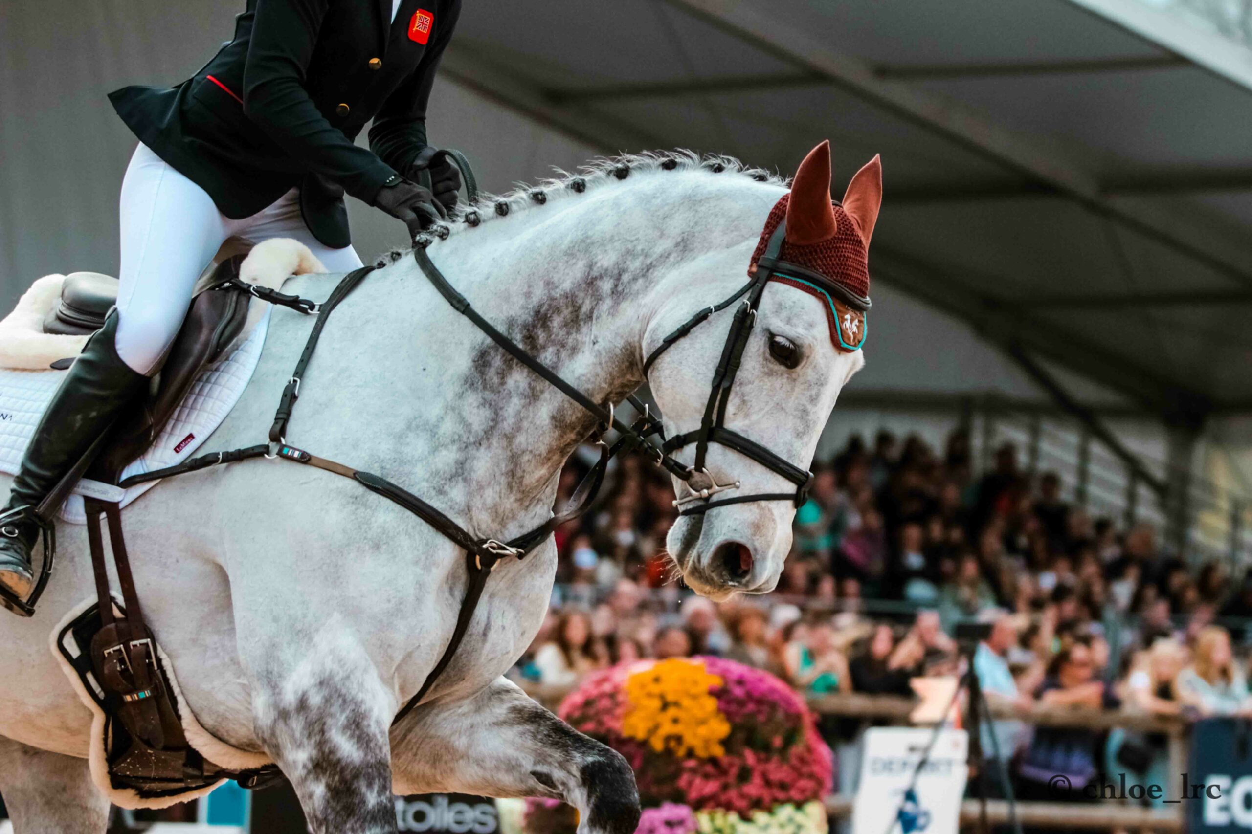 Photo d'un évènement sportif photographié par Chloé LRC